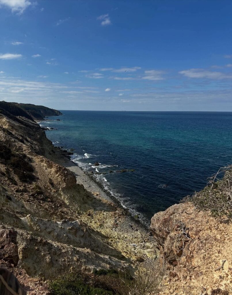 fb_img_17685867135495148266718494394132-806x1024 كارمن بصيبص تستعيد «ليل» بلقطات من الماضي