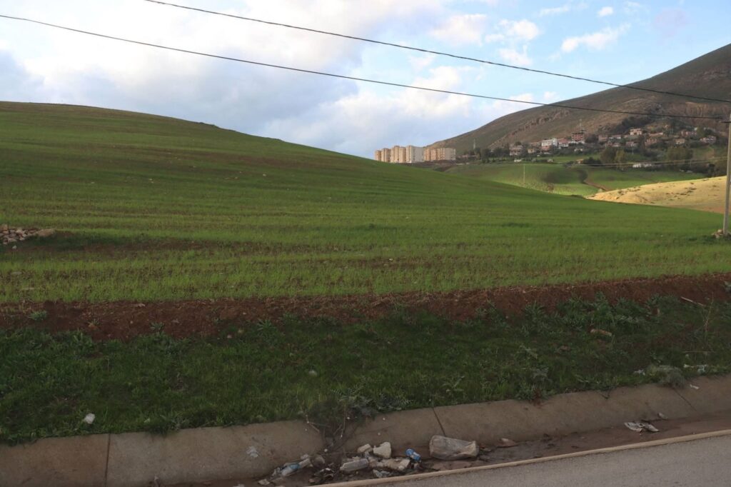 fb_img_1770771230515751018006442945371-1024x682 والي ميلة في خرجة ميدانية إلى بلديتي يحي بني ڨشة وفرجيوة: متابعة لمشاريع السكن، المياه والتهيئة الحضرية