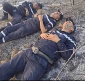 fb_img_17847513131073816047494466262202-300x284 تلاحم يجسّد أسمى معاني المواطنة في مواجهة حرائق جبال الحلفاء بالعياضي برباس
