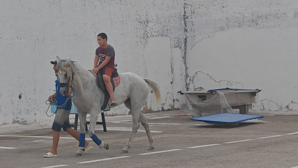 img_20260725_1824346860376488526618681-1024x577 مدينة الألعاب بفرجيوة.. فضاء ترفيهي جديد يرسم البسمة على وجوه الأطفال