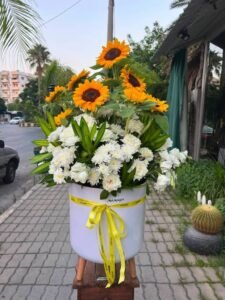 img-20260813-wa00038380766695629989244-225x300 حكايا_الناس ضيف العدد الخامس عشر السيد حسام صالخ (أزهار مامايا) إعداد.؛: أ. ناهد حمود